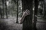 caches