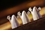 trois-blanc-halloween