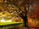 couleurs-automne