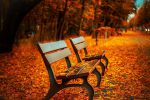 double-solitude