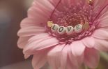 love-amour-universel