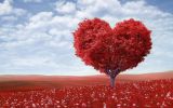 saint-valentin-amour-intense