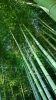 fond-ecran-demarrage-windows-10