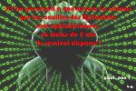 couilles-de-djihadistes-aphrodisiaques