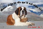 tonneau-vide