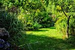 coin-de-verdure-ensoleille