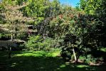 le-jardin-et-sa-beaute