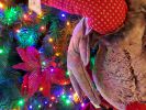 decorations-pas-cher-pour-noel