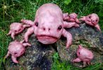 horrible-et-terrifiant-3D-polymere_03