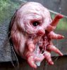 horrible-et-terrifiant-3D-polymere_05