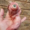 musee-des-horreurs-creation-en-polymere-3D