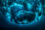 fonds-marins_03