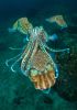 ocean-art-contest-winners_02