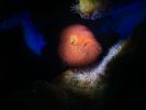 ocean-art-contest-winners_04
