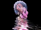 ocean-art-contest-winners_05