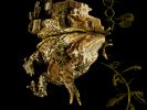 photo-sous-marine-selection_02