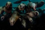 photographies-en-plongee