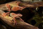photographies-en-plongee_02