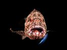 photographies-en-plongee_03