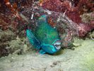 photographies-en-plongee_04