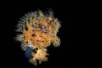 photographies-en-plongee_05