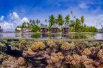 concours-2019-photo-sous-marine