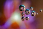 infiniment-petit-fond-ocean_04