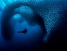 ocean-art-2019-winners_03