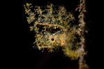 photographie-en-plongee_02