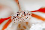 photographie-en-plongee_03