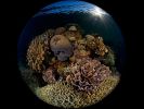 plongee-et-contre-plongee_02