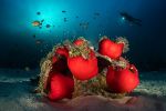 plongee-et-contre-plongee_04