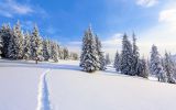 trace-dans-la-neige-montagne