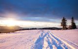 traces-de-ski-de-fond