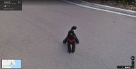 Google-Street-View-animal-amusant-caniche