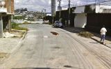 Photos-surprises-animaux-by-Google-Street-PAPILLON