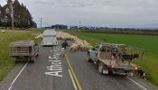 animaux-photos-by-Google-Street-View-moutons