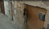 le-chat-sur-le-mur