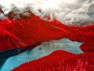 arbres-rouges