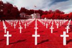 cimetierre-infrarouge-aerochrome-rouge