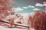 paysage-neige-rouge