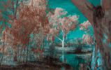 transformation-IR