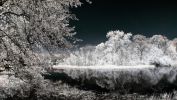 vegetation-en-infrarouge