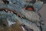 chasseur-de-dragon_photographie
