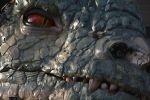 face-au-monstre-mecanique