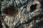 les-yeux-dans-les-yeux-avec-le-dragon