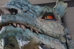 oeil-du-dragon