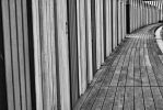 exposition-photo-en-ligne
