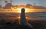 enttre-chiens-et-loups_08