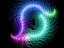 illusions-optique